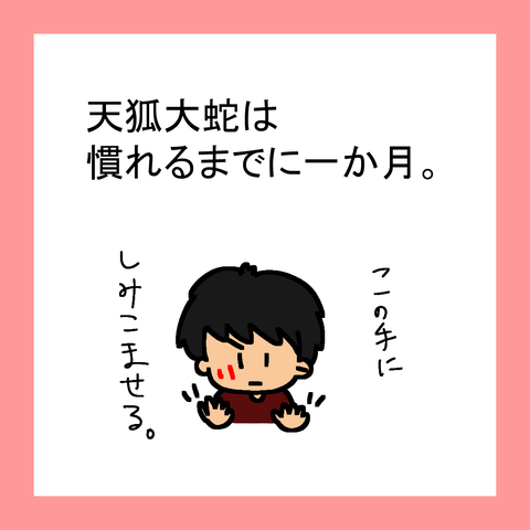 ストリートファイター From Atoz