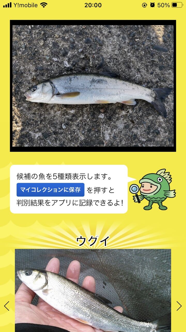 画像 ワイ釣り初心者 釣った魚が何かわからないwwwwwwwww Az通信
