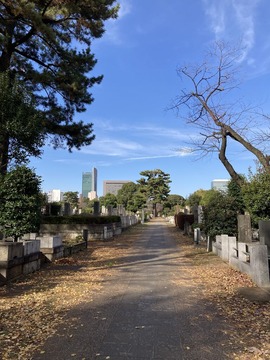 青山霊園