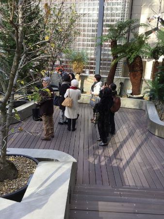 IMG (338x450)