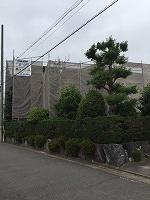 6-29­�쥷��������