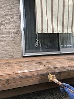 ���åɥǥå����ɤꥬ���ɥ�å�PRO���ƥ�������1���� (5)