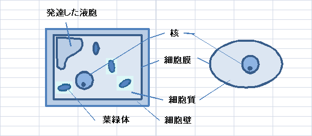 高校での生活 理科