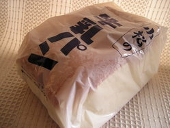 ���������ѥ�