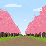 bg_namikimichi1_sakura