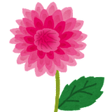 flower_dahlia