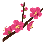 flower_ume_kaika