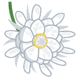 flower_gekkabijin