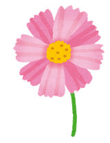 flower_cosmos