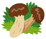 matsutake