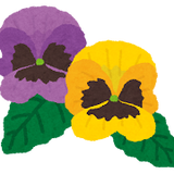 flower_pansy