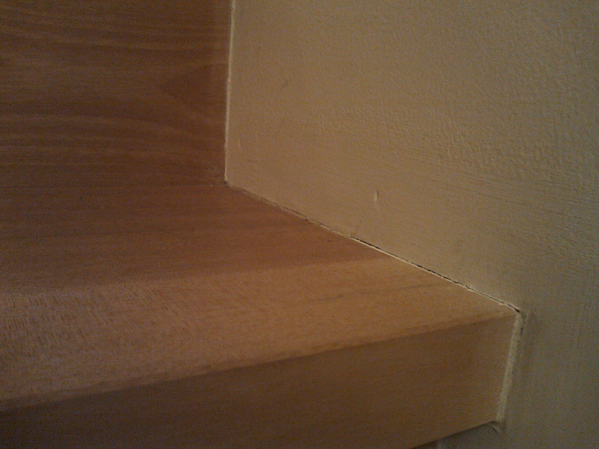 階段メンテナンス １ ゴンザレスおじさん家のblog