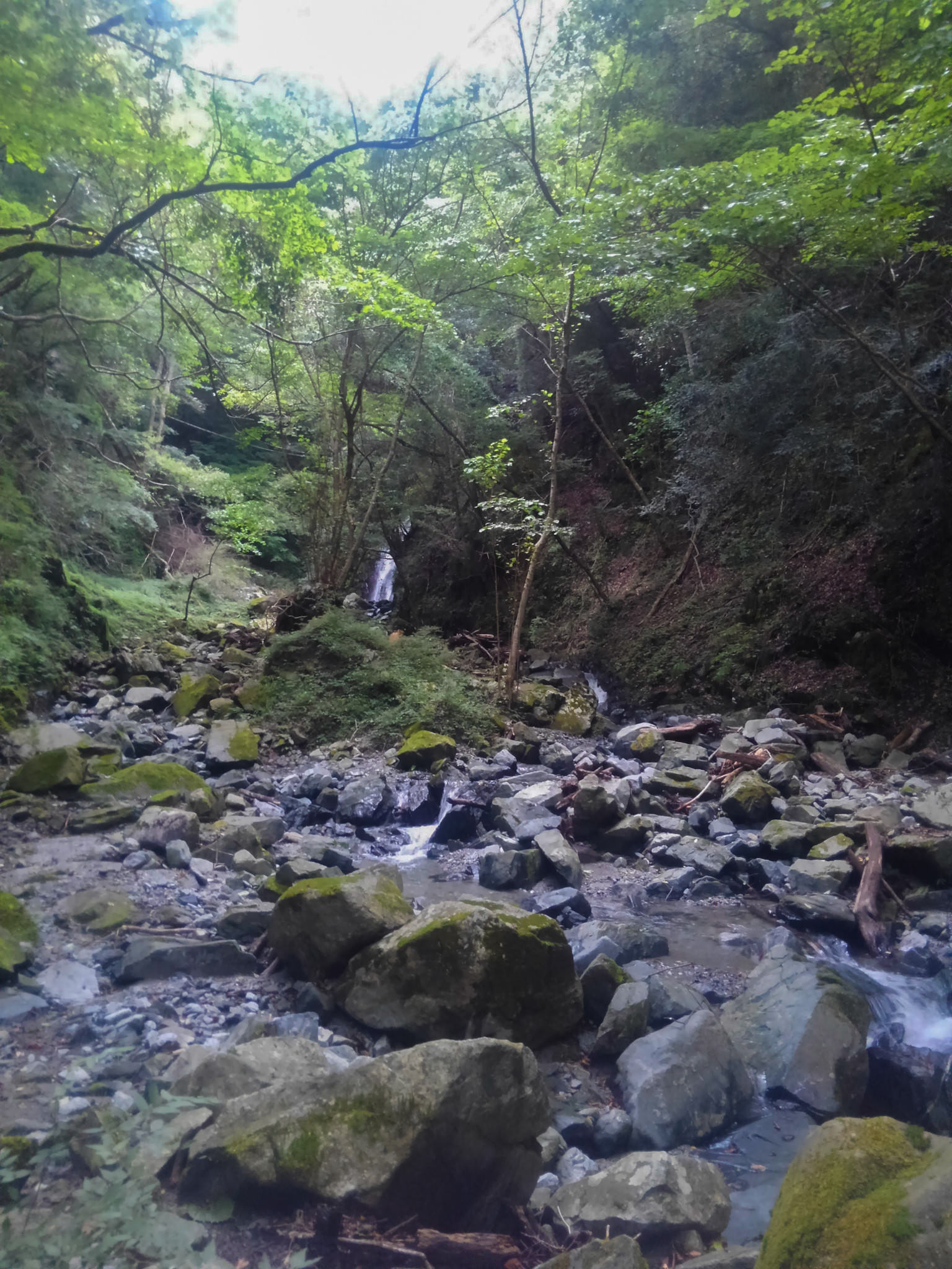 閲覧注意 ワイルドな漢になりたくて カメ五郎さんとヒル食いに山行ってきたバカだけど 前編 アンヘル速報 閲覧注意 ワイルドな漢になりたくて カメ五郎さんとヒル食いに山行ってきたバカだけど 前編 アンヘル速報