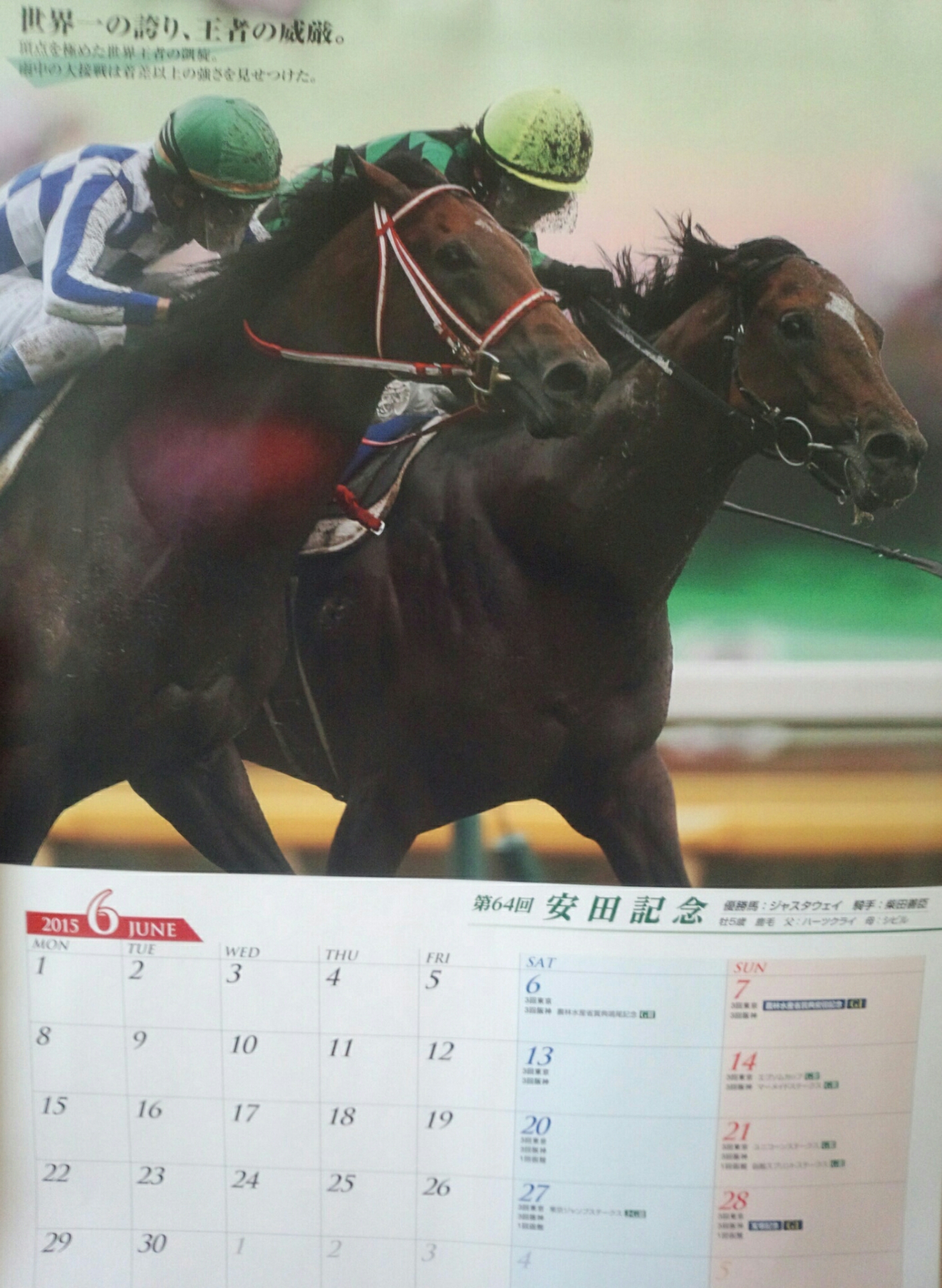 6月jraカレンダー イベントポスター 競馬サイン 勝利の法則