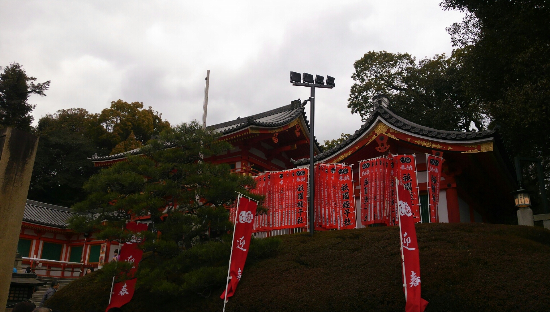 ウインズ京都