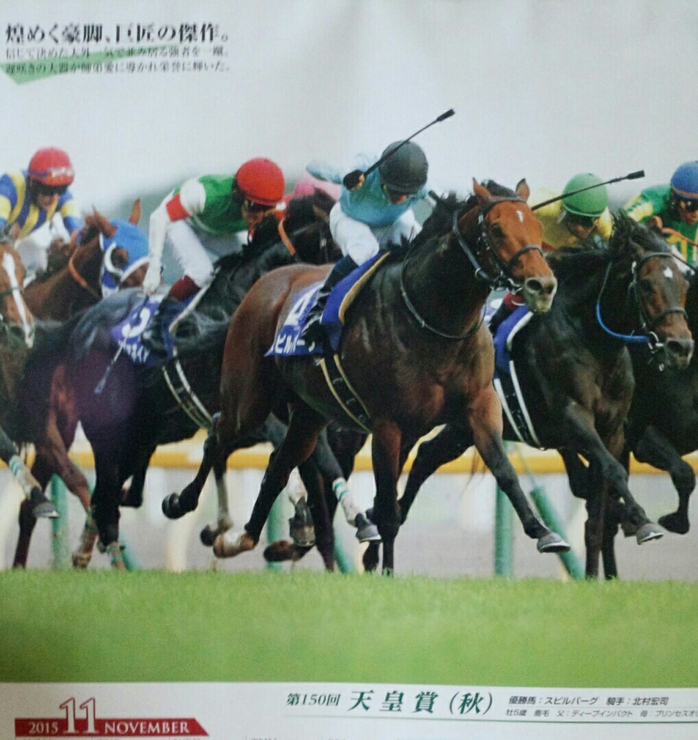 最高 Ever Jra カレンダー さかななみ 最高 Ever Jra カレンダー さかななみ