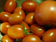 16611639112698467574822723528885