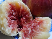 16633870654264000664621971622681