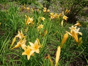 DSCPDC_0002_BURST20220613091301923