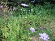 IMG_20200902_054857