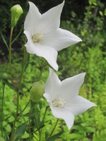 082