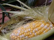 16607302015017452797714480890122