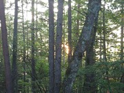 16630163685395508649585196873274