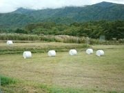 DSCPDC_0003_BURST20181005102049659_COVER