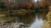 FB_IMG_1764401290188