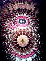 180bd55f.jpg