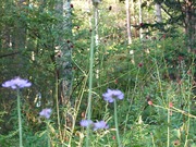 16628462766263774792347820013102