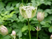 DSCPDC_0003_BURST20210702112352103_COVER