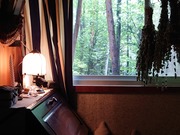 16579272122125842392861125167353