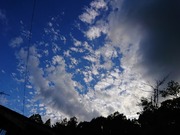DSC_0286
