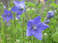 076