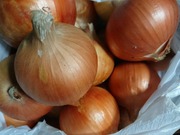 DSCPDC_0001_BURST20181212121043841_COVER