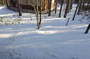 260215153557890