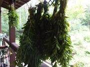 16572723459683941614077957904050