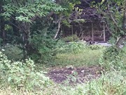 IMG_20200920_064740