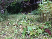 IMG_20200921_070841
