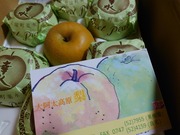 16607047990123772623431656022154