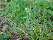 DSCPDC_0003_BURST20210805075444966_COVER