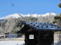 toshisyun 006