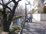 35c5510b.JPG