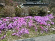 DSCPDC_0000_BURST20190427102919544