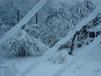 KIF_0215