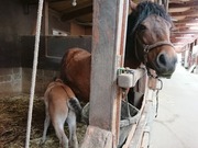 DSCPDC_0003_BURST20220424100305594_COVER