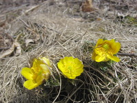 2016-03-29 005