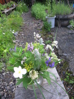 2016-07-01 017
