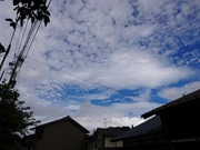 DSC_3904 DSC_3910